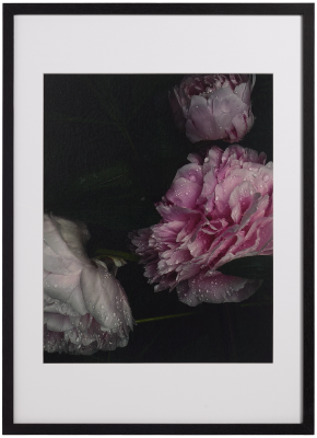 Flora 1 Photo Art paper/wood