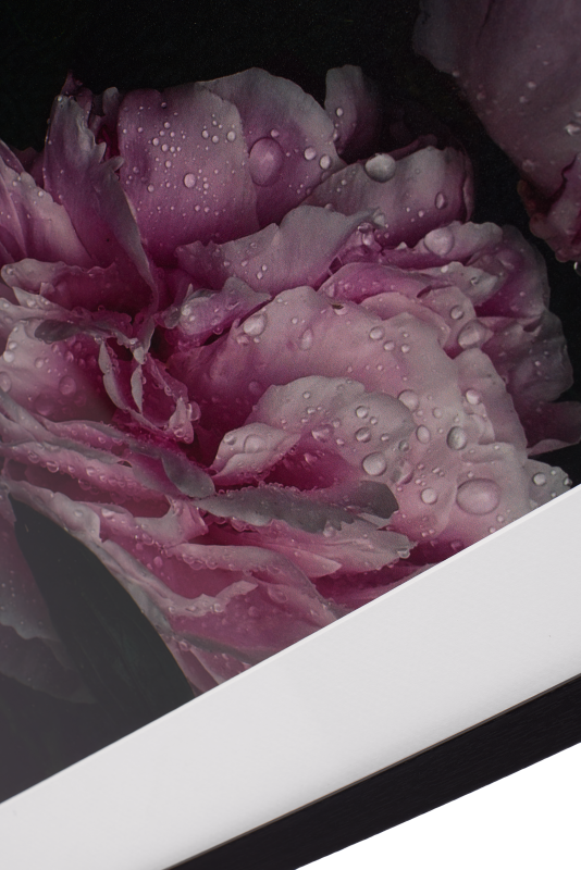 Flora 1 Photo Art paper/wood