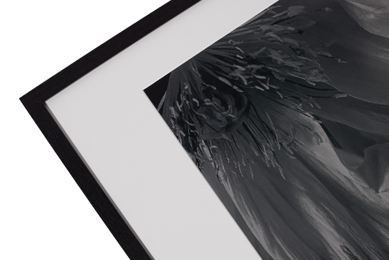 Flora 3 Photo Art, black paper/wood